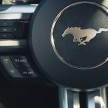 MEGA GALLERY: Ford Mustang coupe and convertible