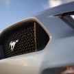 MEGA GALLERY: Ford Mustang coupe and convertible