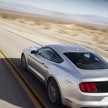 MEGA GALLERY: Ford Mustang coupe and convertible