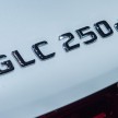 Mercedes-Benz GLC unveiled – the SUV sweet spot?