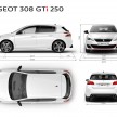 2016 Peugeot 308 GTi unveiled: 270 hp Gallic hot hatch