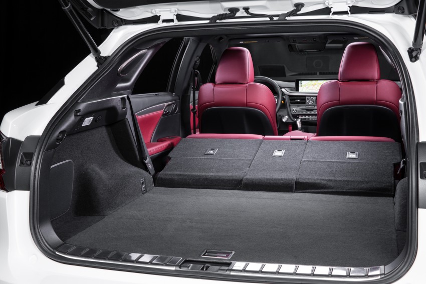 MEGA GALLERY: Lexus RX 350 and RX 450h variants 379477