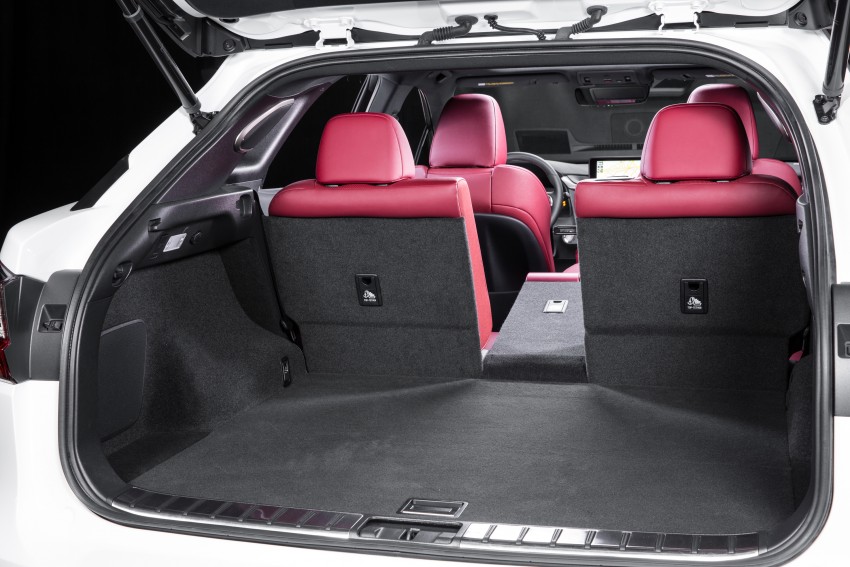 MEGA GALLERY: Lexus RX 350 and RX 450h variants 379478