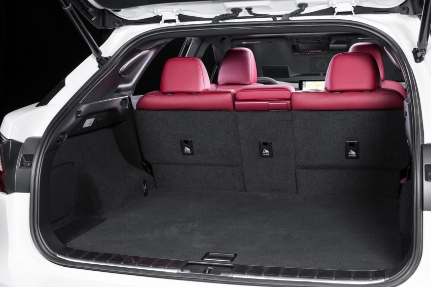 MEGA GALLERY: Lexus RX 350 and RX 450h variants 379481