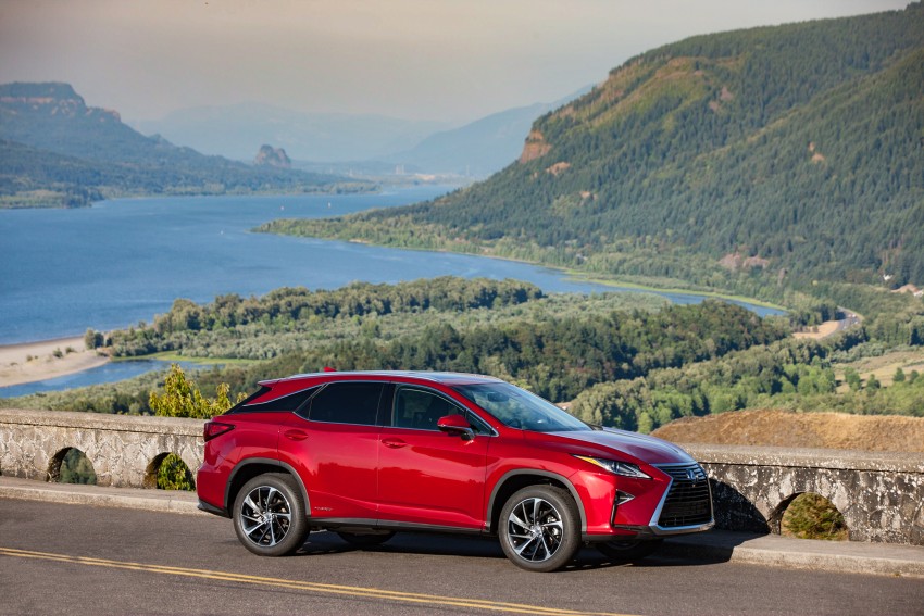MEGA GALLERY: Lexus RX 350 and RX 450h variants 379553