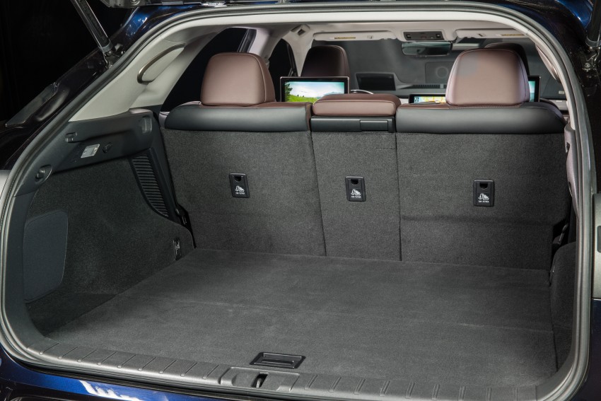 MEGA GALLERY: Lexus RX 350 and RX 450h variants 379520