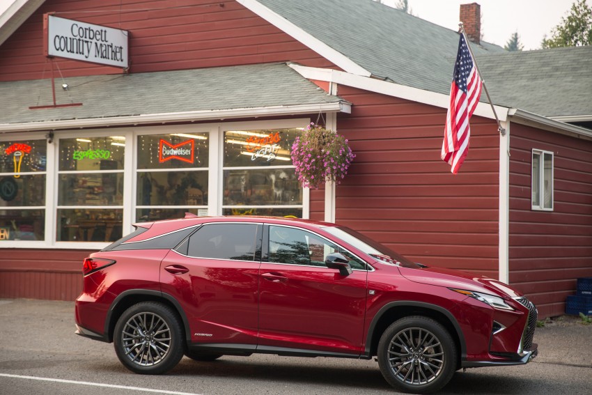 MEGA GALLERY: Lexus RX 350 and RX 450h variants 379572