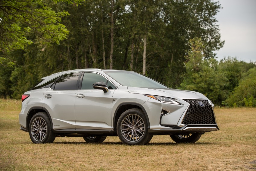 MEGA GALLERY: Lexus RX 350 and RX 450h variants 379576