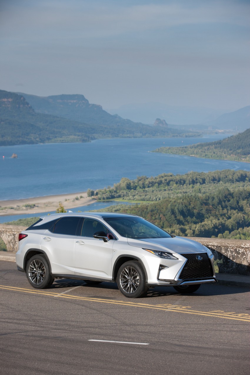 MEGA GALLERY: Lexus RX 350 and RX 450h variants 379468