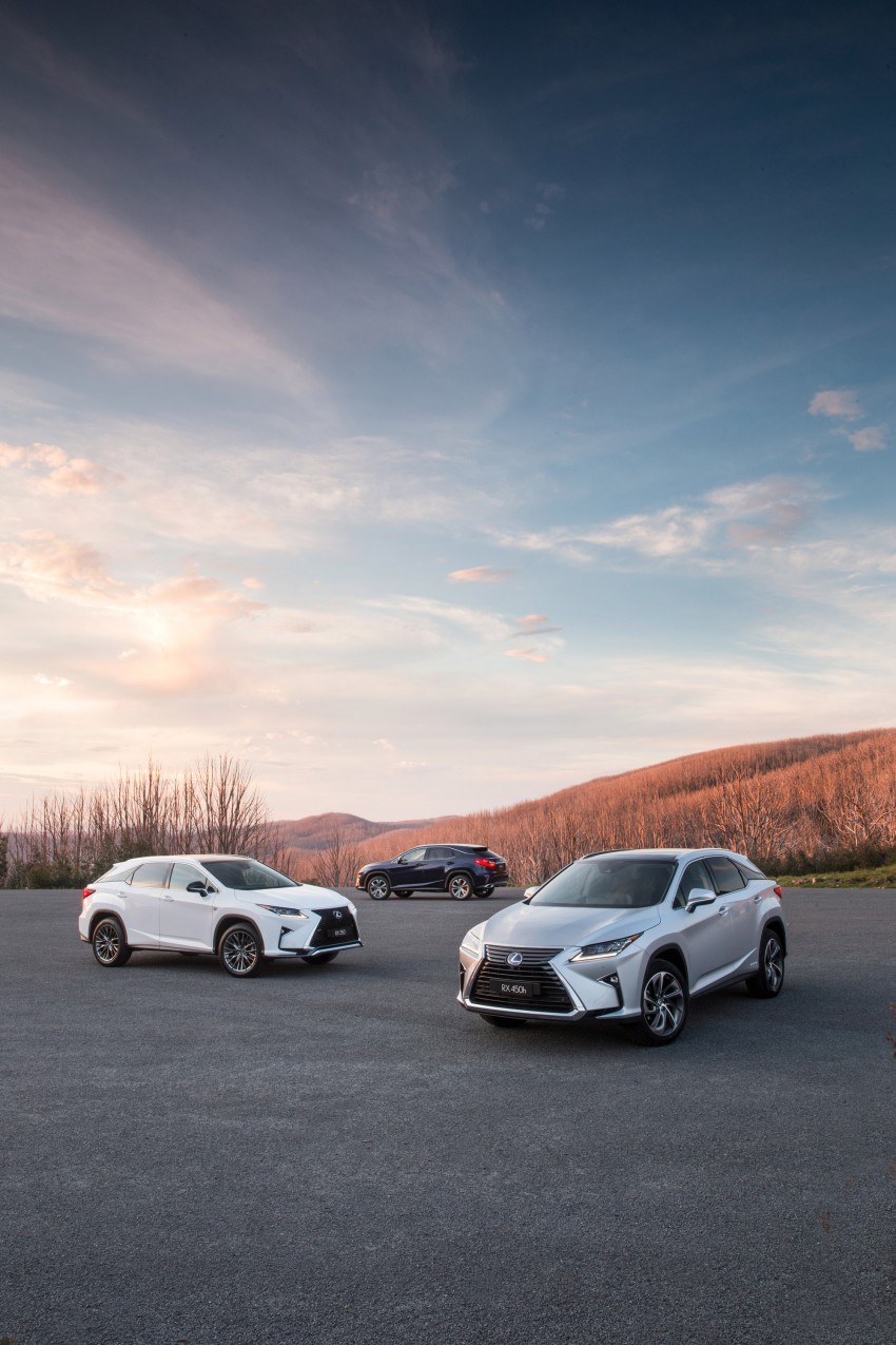 MEGA GALLERY: Lexus RX 350 and RX 450h variants 411421