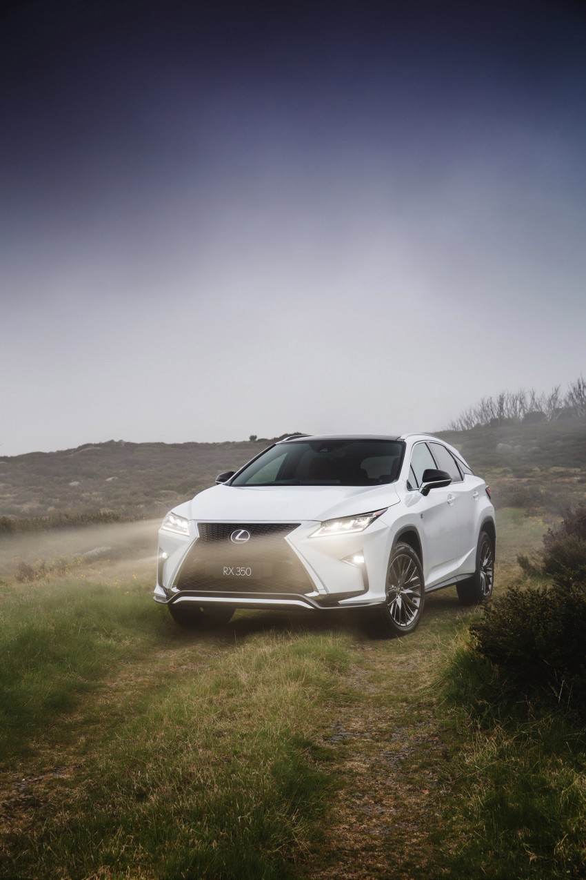 MEGA GALLERY: Lexus RX 350 and RX 450h variants 411387