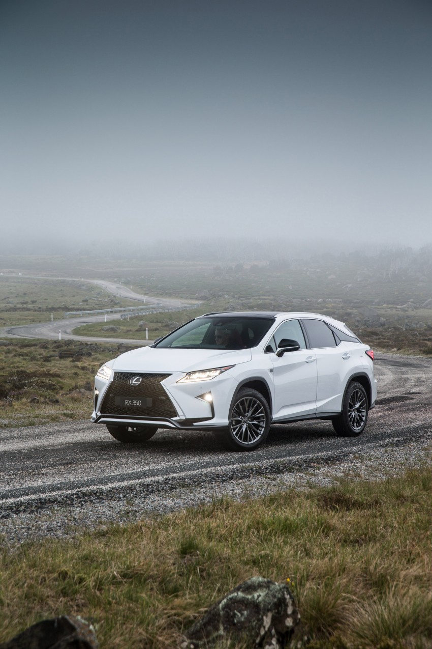 MEGA GALLERY: Lexus RX 350 and RX 450h variants 411408