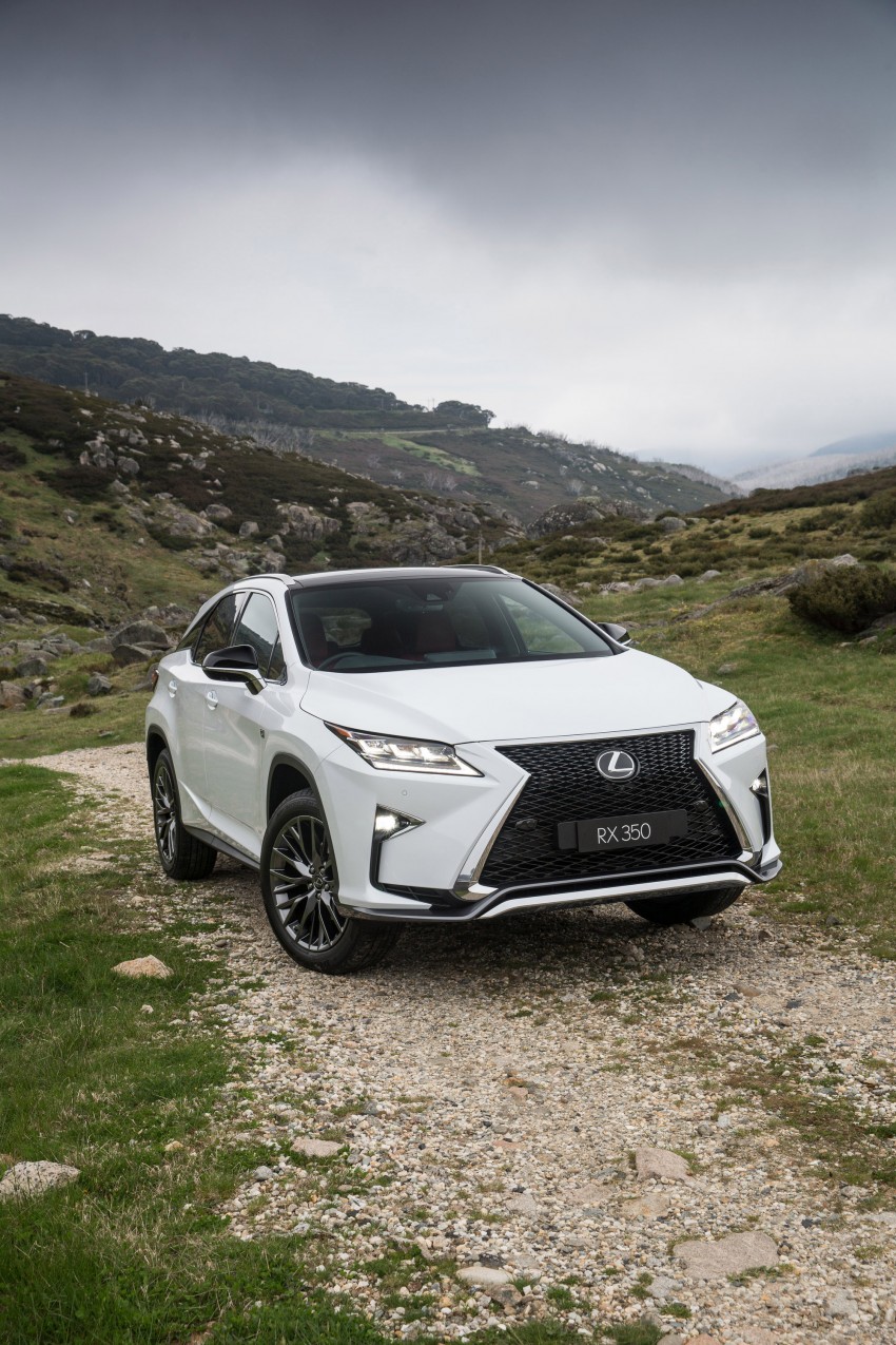MEGA GALLERY: Lexus RX 350 and RX 450h variants 411406