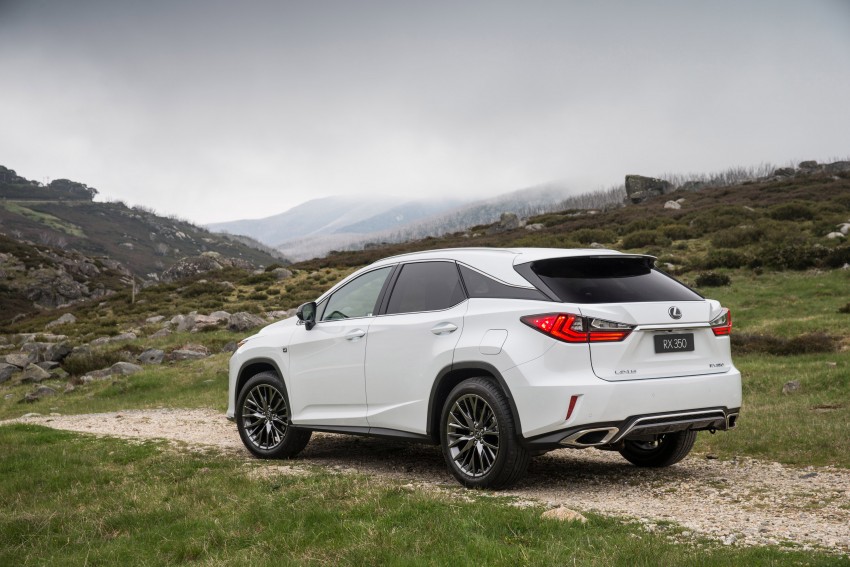 MEGA GALLERY: Lexus RX 350 and RX 450h variants 411404