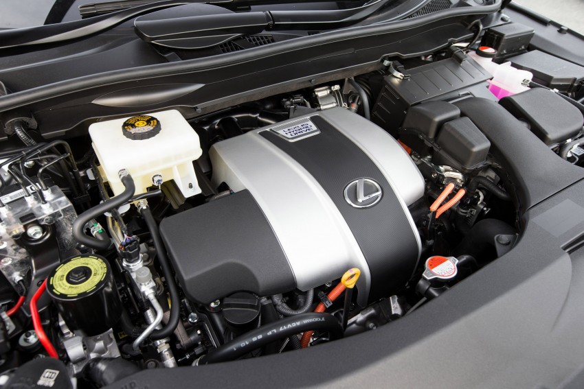 MEGA GALLERY: Lexus RX 350 and RX 450h variants 411384