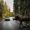 Volvo V90 2016 – perincian awal dan galeri penuh