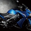 Suzuki GSX-S1000 Yoshimura special editions debut
