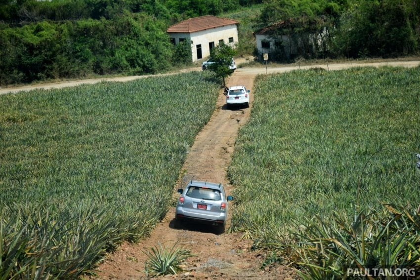 DRIVEN: Subaru Forester 2.0i-P – a worthy alternative? 480281