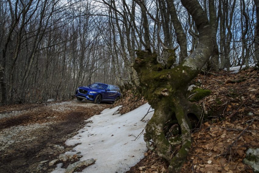 DRIVEN: Jaguar F-Pace – a go-anywhere Leaping Cat 496961