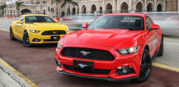 Ford Mustangs 2