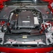 FIRST LOOK: C238 Mercedes-Benz E-Class Coupe