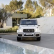 2019 Mercedes-AMG G63 – 4.0L V8, 585 hp, 850 Nm