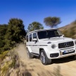 2019 Mercedes-AMG G63 – 4.0L V8, 585 hp, 850 Nm