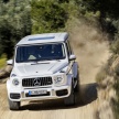 2019 Mercedes-AMG G63 – 4.0L V8, 585 hp, 850 Nm