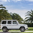 2019 Mercedes-AMG G63 – 4.0L V8, 585 hp, 850 Nm
