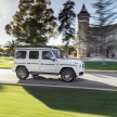 2019 Mercedes-AMG G63 – 4.0L V8, 585 hp, 850 Nm