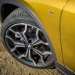 DRIVEN: F39 BMW X2 – substance beneath the looks?