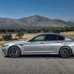 MEGA GALLERY: F90 BMW M5 Competition in detail!