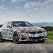 2019 G20 BMW 3 Series – initial details revealed