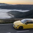 Mercedes-AMG A 35 4Matic didedahkan – 2.0L turbo, 306 hp dan 400 Nm, AWD; Pencabar terus VW Golf R!