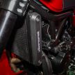 2019 Benelli Leoncino Trail scrambler, RFS150i Limited Edition <em>kapchai</em> and TRK 502X adventure previewed