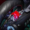 2019 Benelli Leoncino Trail scrambler, RFS150i Limited Edition <em>kapchai</em> and TRK 502X adventure previewed
