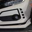 TAS 2019: Mugen Honda Civic Type R FK8 Prototype