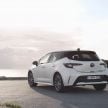 GALLERY: 2019 Toyota Corolla detailed for Europe – three body styles; four powertrains, including hybrids