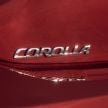 GALLERY: 2019 Toyota Corolla detailed for Europe – three body styles; four powertrains, including hybrids