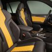 F97 BMW X3 M, F98 X4 M revealed with up to 510 hp