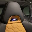 F97 BMW X3 M, F98 X4 M revealed with up to 510 hp