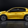 2019 Peugeot 208 unveiled with 340 km electric model