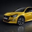 2019 Peugeot 208 unveiled with 340 km electric model