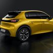 2019 Peugeot 208 unveiled with 340 km electric model