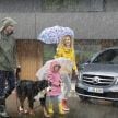 W447 Mercedes-Benz V-Class facelift gets new diesel