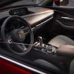 Mazda CX-30 tampil di Geneva Motor Show – SUV baharu yang diposisikan antara CX-3 dan CX-5