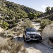 X167 Mercedes-Benz GLS – greater comfort and luxury