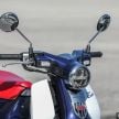 REVIEW: 2019 Honda C125 Super Cub – retro or no?