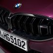 F93 BMW M8 Gran Coupé: four-door coupé with 625 hp