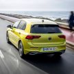 MEGA GALLERY: Volkswagen Golf Mk8 gets detailed